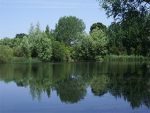 Radley Lakes