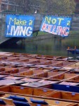 Check one Banner Drop!